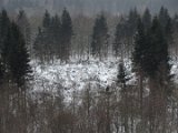 Nach Orkan Friederike - Naehe Turm Hochsolling  (8)